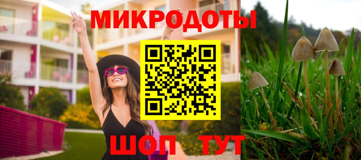 Псилоцибиновые грибы MAGIC MUSHROOMS  Вход с VPN  закладки  Карачаевск 